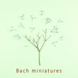Bach miniatures