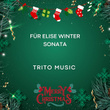 Für Elise Winter Sonata