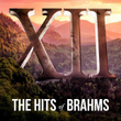 XII, The Hits of Brahms