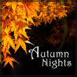 Autumn Nights: Bach