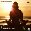 Ludovico Einaudi: Stella del mattino (Arr. for flute by Claudio Ferrarini)