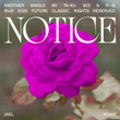 Notice (JAEL Remix)