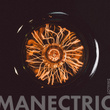 Manectric