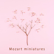 Mozart miniatures
