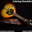 Calming Mandolin