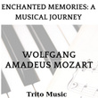Enchanted Memories: A Musical Journey