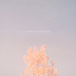 Beauty in the Light (Acoustic)