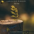 Ludovico Einaudi: The Tree (Arr. for Flutes, Harp and Electronics by Claudio Ferrarini)