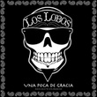Una Poca De Gracia (Live '95)