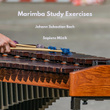 Marimba Study Exercises