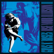 Use Your Illusion