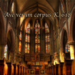 Ave verum corpus, K. 618
