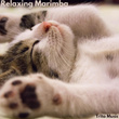 Relaxing Marimba