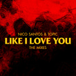 Like I Love You (The Mixes)