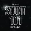 Stunt 101 (Ric Maye Remix)
