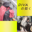 DIVA no Gotoku