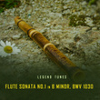 Flute Sonata No.1 in B Minor, BWV 1030