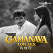 Gamanava (Lo Fi)