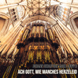 Bwv 3 - Ach Gott, wie manches Herzeleid