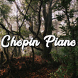 ! !#0001 Chopin Piano