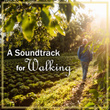 A Soundtrack for Walking: Mozart