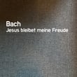 Bach Jesus bleibet meine Freude