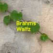 Brahms Waltz