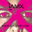 Your Joy Is My Low