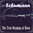 !!! Schumann The True Meaning Of Music