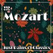 !!! Mozart Just Rains Of Classics