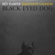 Black Eyed Dog