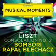 Liszt: Consolations, S. 172: No. 3 Lento placido in D Flat Major (Transcr. Milstein for Violin and Piano) [Musical Moments]