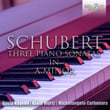 Schubert: The Three Piano Sonatas in A Minor