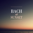 Bach at sunset