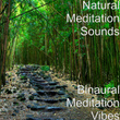 Binaural Meditation Vibes