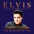 The Wonder Of You: Elvis Pr...