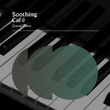 zZz Soothing Café Grand Piano Album zZz