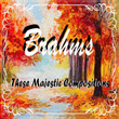#01 Brahms These Majestic Compositions