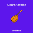 Allegro Mandolin