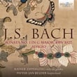 J.S. Bach: Sonata No. 1 in G Major, BWV 1027. Adagio