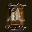 Consolations for the Piano, S. 172: No. 3 in D-Flat Major