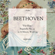 Beethoven: 'Für Elise' Bagatelle No. 25 in A Minor, WoO 59 (엘리제를 위하여)