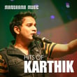 Hits Of Karthik