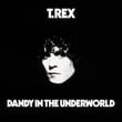 Dandy In The Underworld