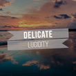 # 1 Album: Delicate Lucidity