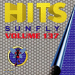 Sunfly Hits, Vol. 137