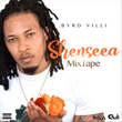 Shenseea: Mixtape