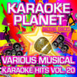 Various Musical Karaoke Hits, Vol. 20