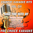 Country Karaoke Hits, Vol. 111