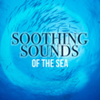 Soothing Sounds of the Sea